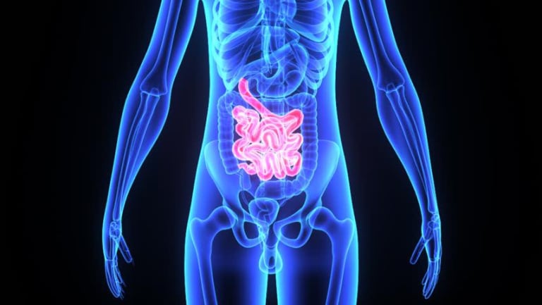 Cơ thể con người 20