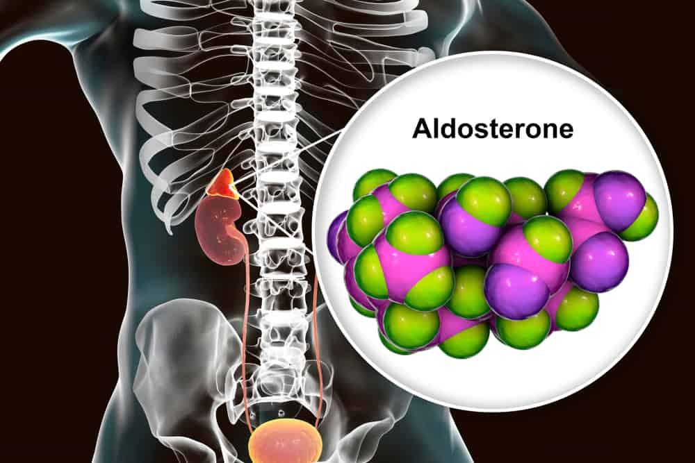 cường aldosterone