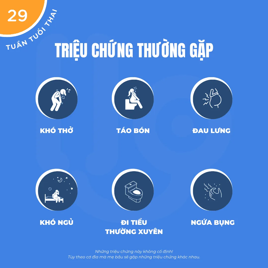 triệu chứng mẹ bầu 29 tuần