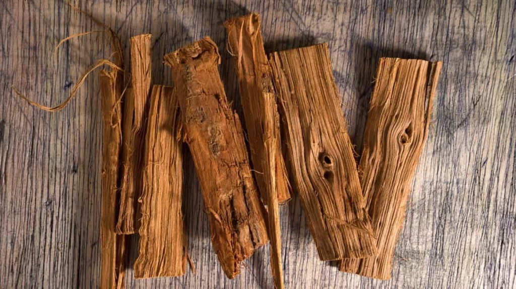 thận trọng khi dùng thảo dược cây vuốt mèo