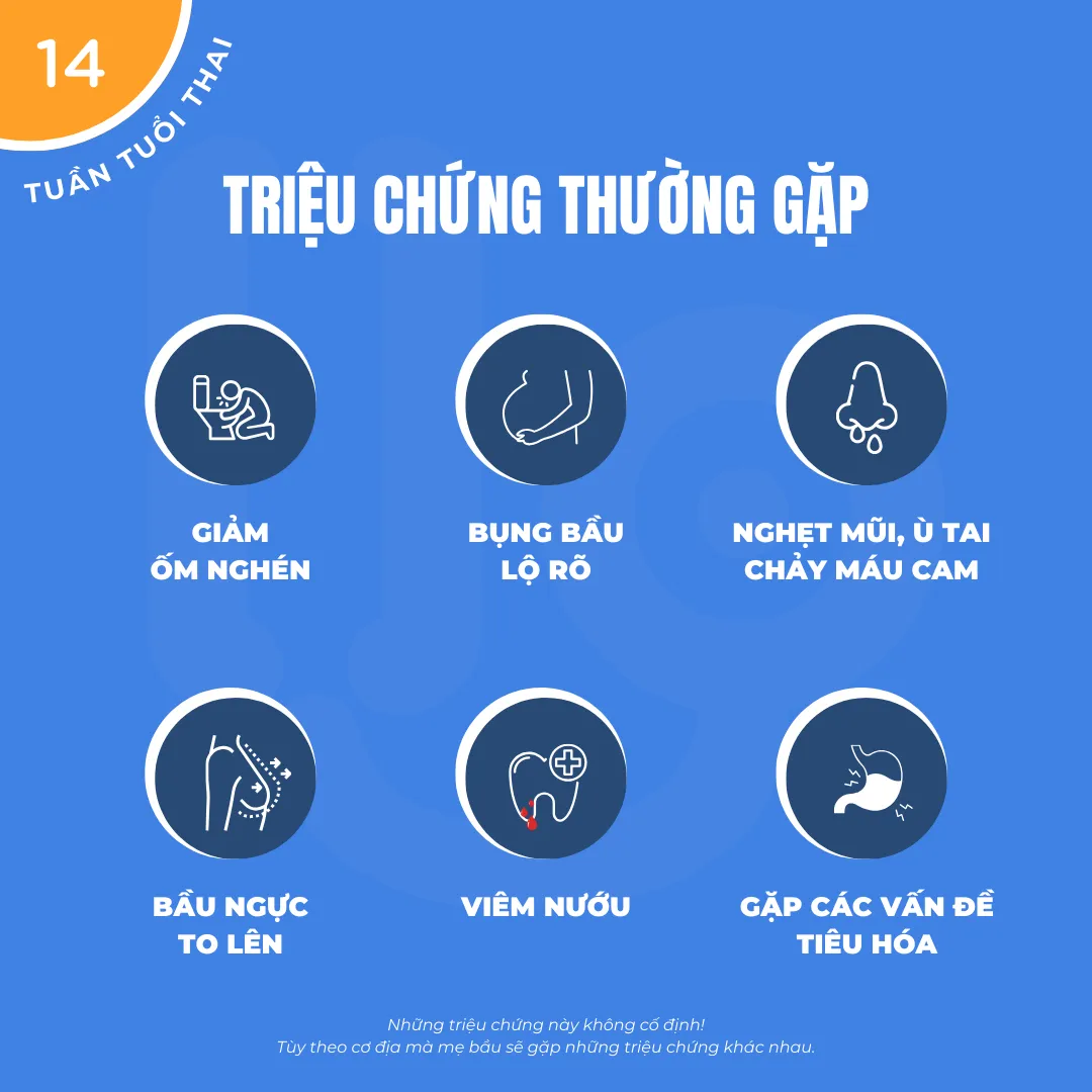 triệu chứng thường gặp khi mang thai 14 tuần