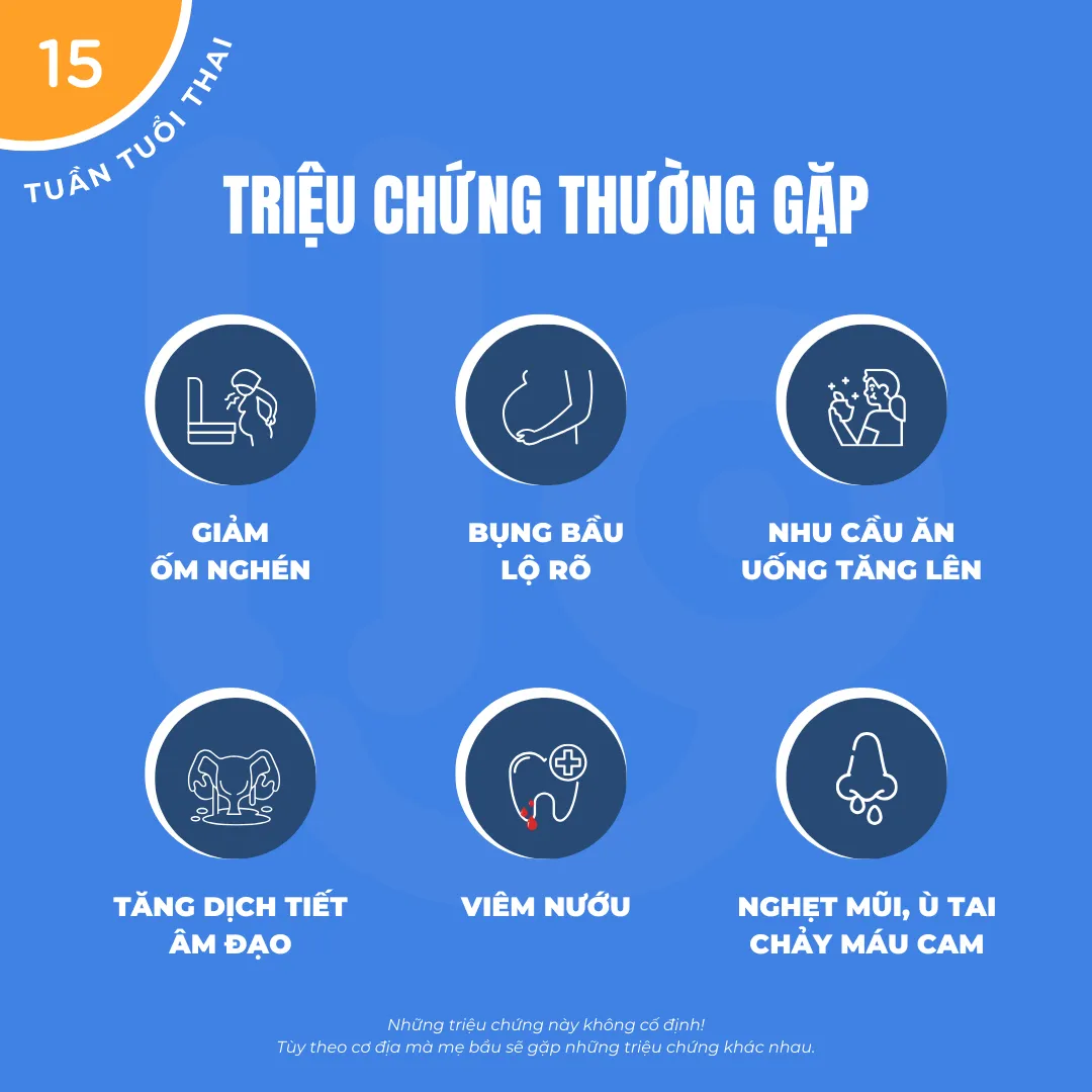 mang thai 15 tuần các triệu chứng thường gặp