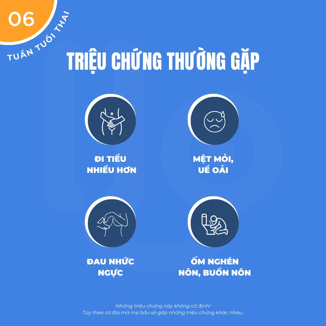 Mang thai 6 tuần: Những triệu chứng thường gặp