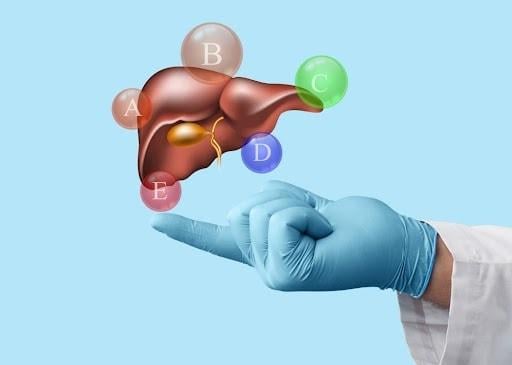 các loại virus viêm gan