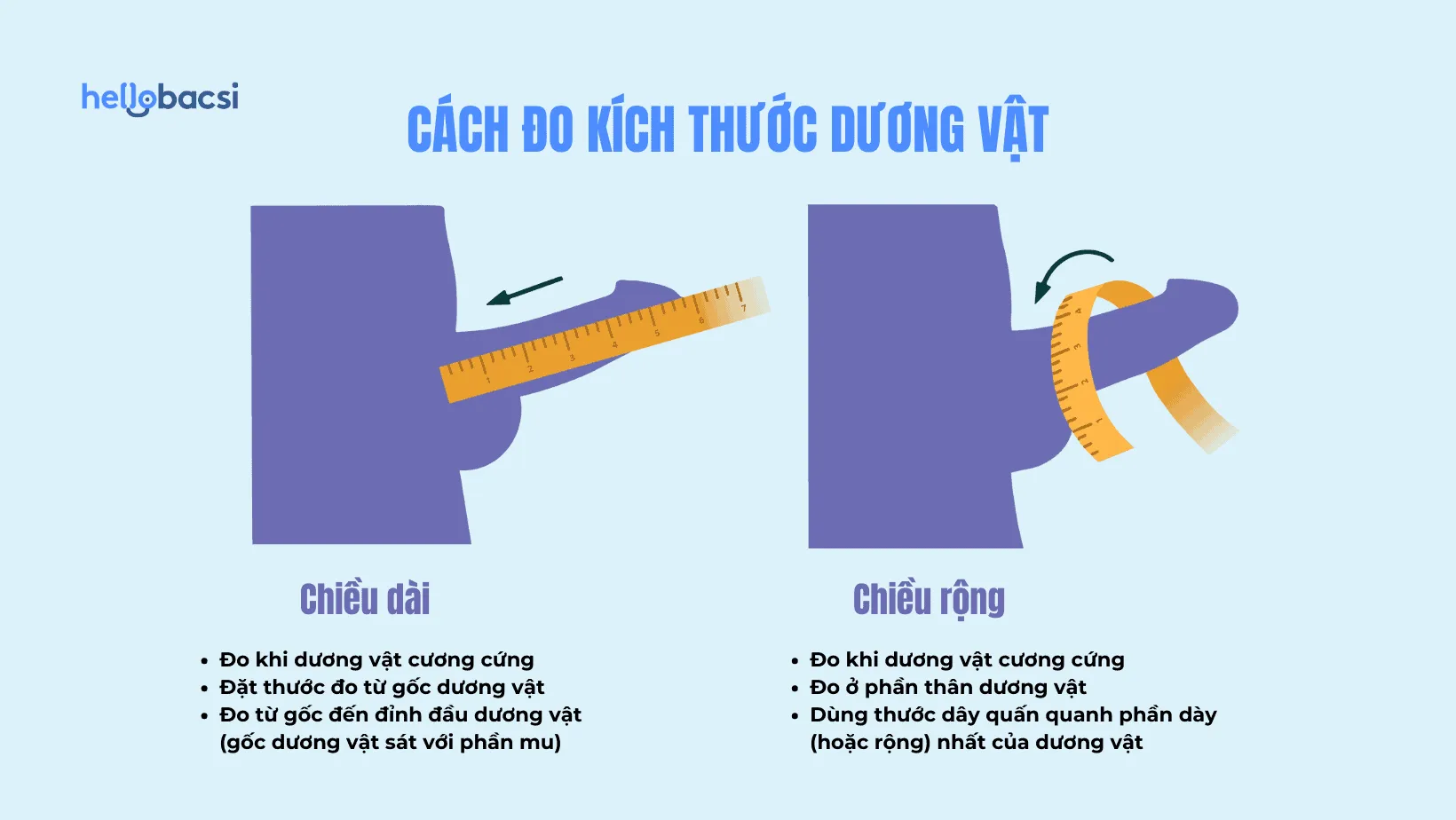 Cách đo dương vật