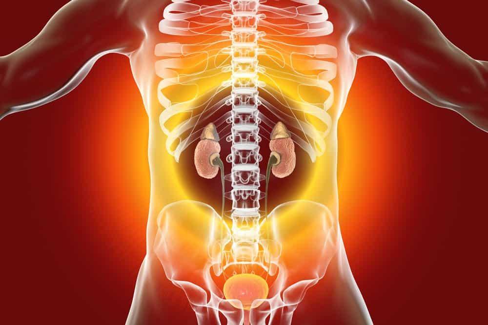 nguyên nhân viêm cầu thận