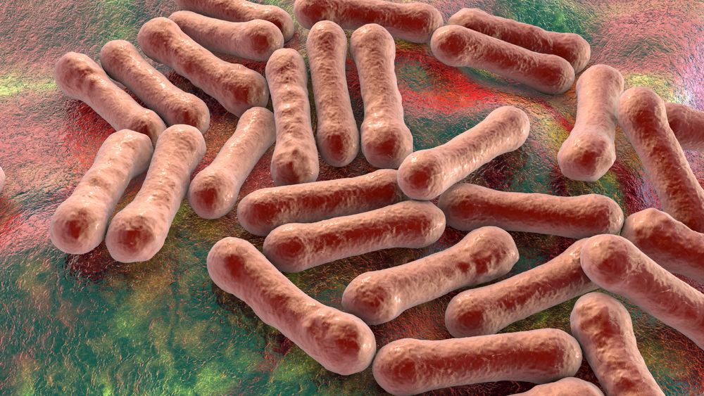 virus gây bệnh bạch hầu