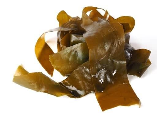 tác dụng của tảo nâu