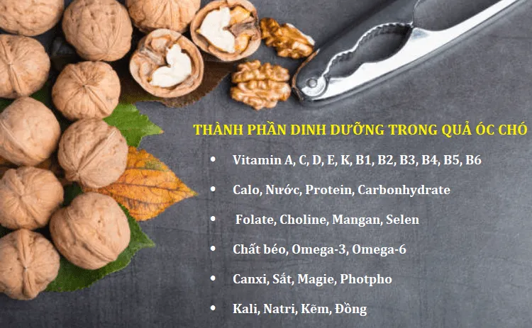 Quả óc chó có tác dụng gì đối với việc giảm cân?