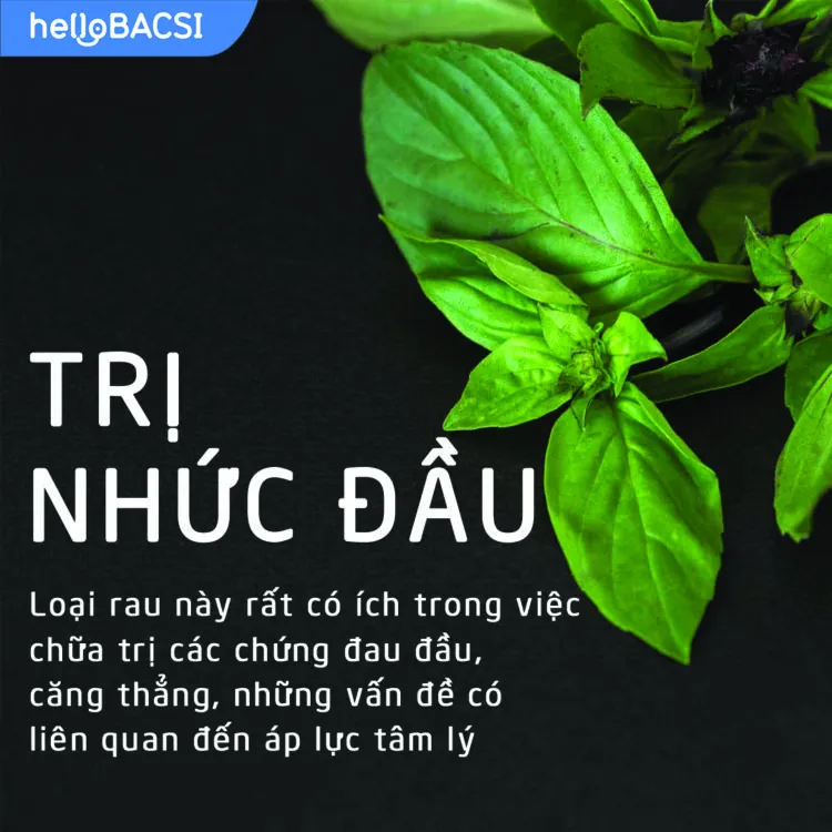 Rau húng quế có tác dụng giúp điều trị nhức đầu