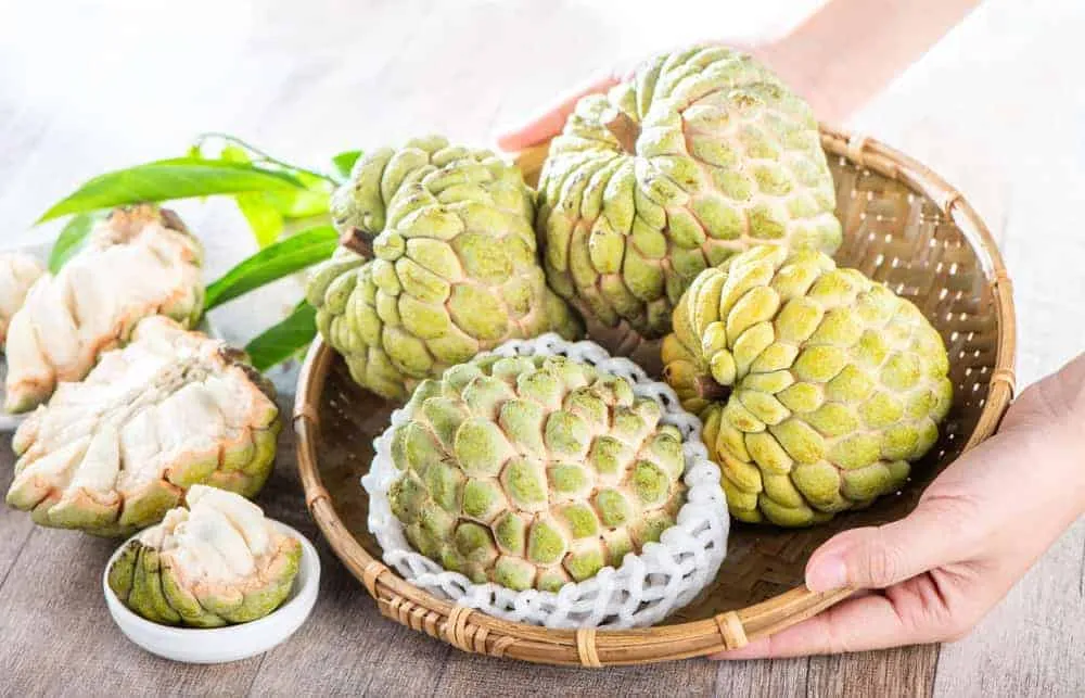 Giá trị dinh dưỡng của mãng cầu