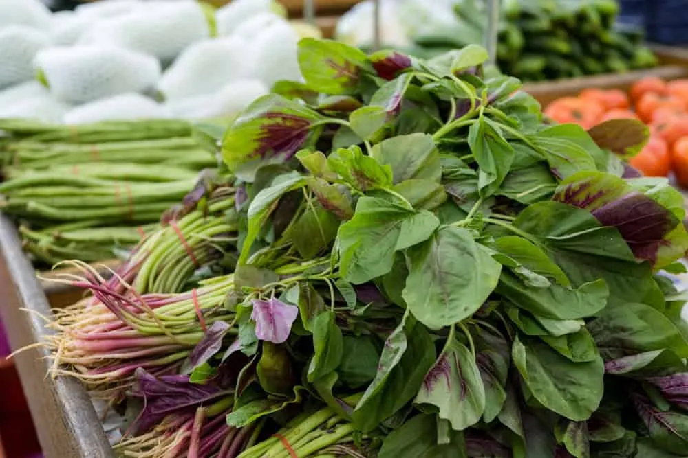 Rau dền là một trong những thực phẩm giàu canxi.