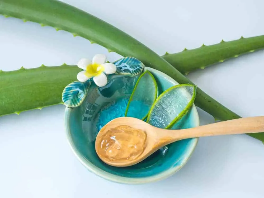 công dụng của nha đam