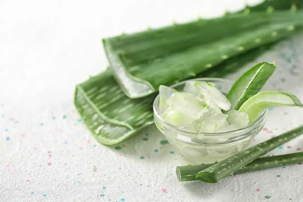 công dụng của nha đam