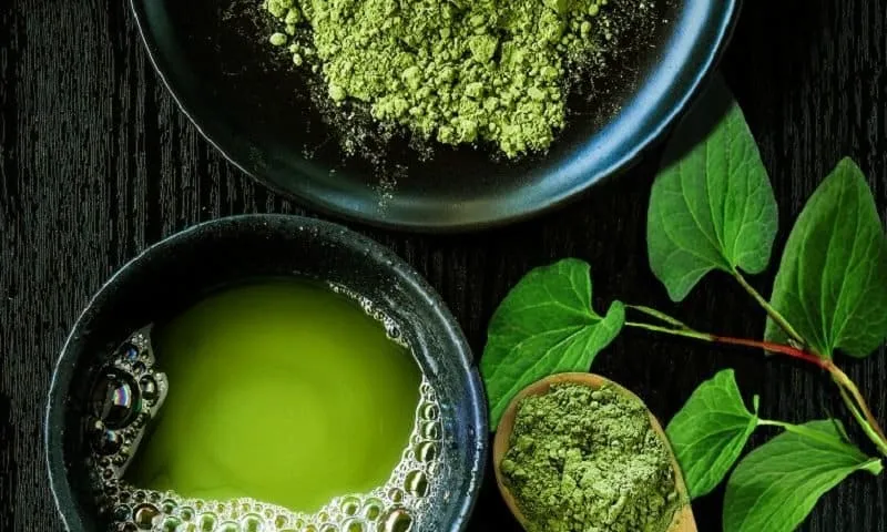 tác dụng rau diếp cá