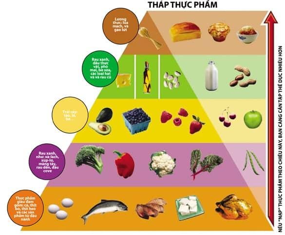 Cơ chế hoạt động của chế độ ăn kiêng Atkins