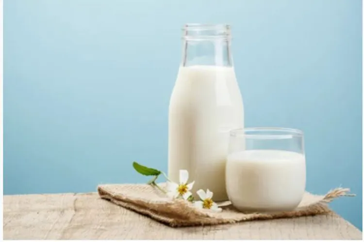 những món ăn khuya không mập: sữa