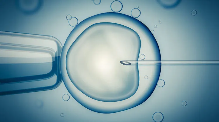 Phương pháp hỗ trợ sinh sản để sinh đôi