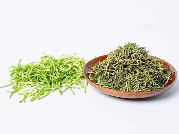 cây kim ngân hoa khô