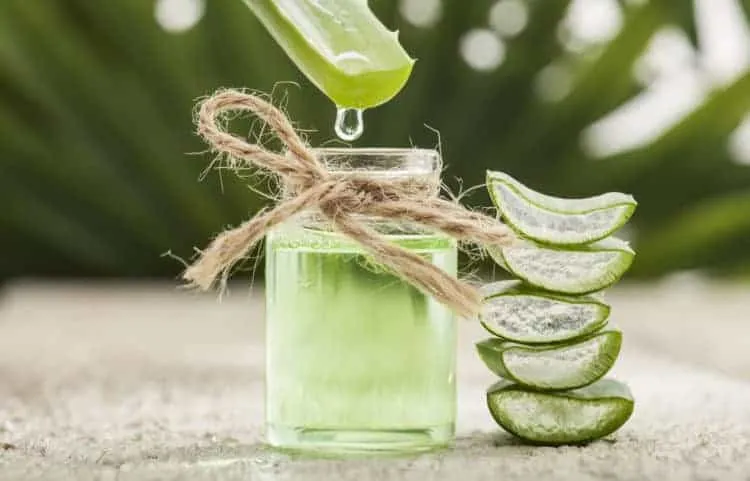 Bị viêm nướu răng phải làm sao? Thử các biện pháp dân gian