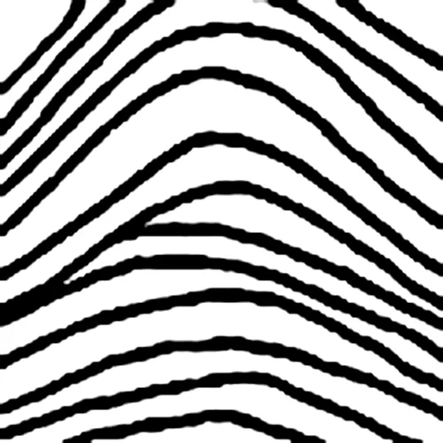 sinh trắc vân tay