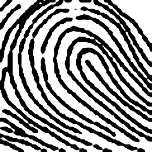 Sinh trắc vân tay: Chủng nước xuôi