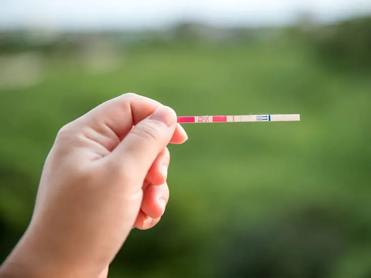 Que thử rùng trứng LH - Tana