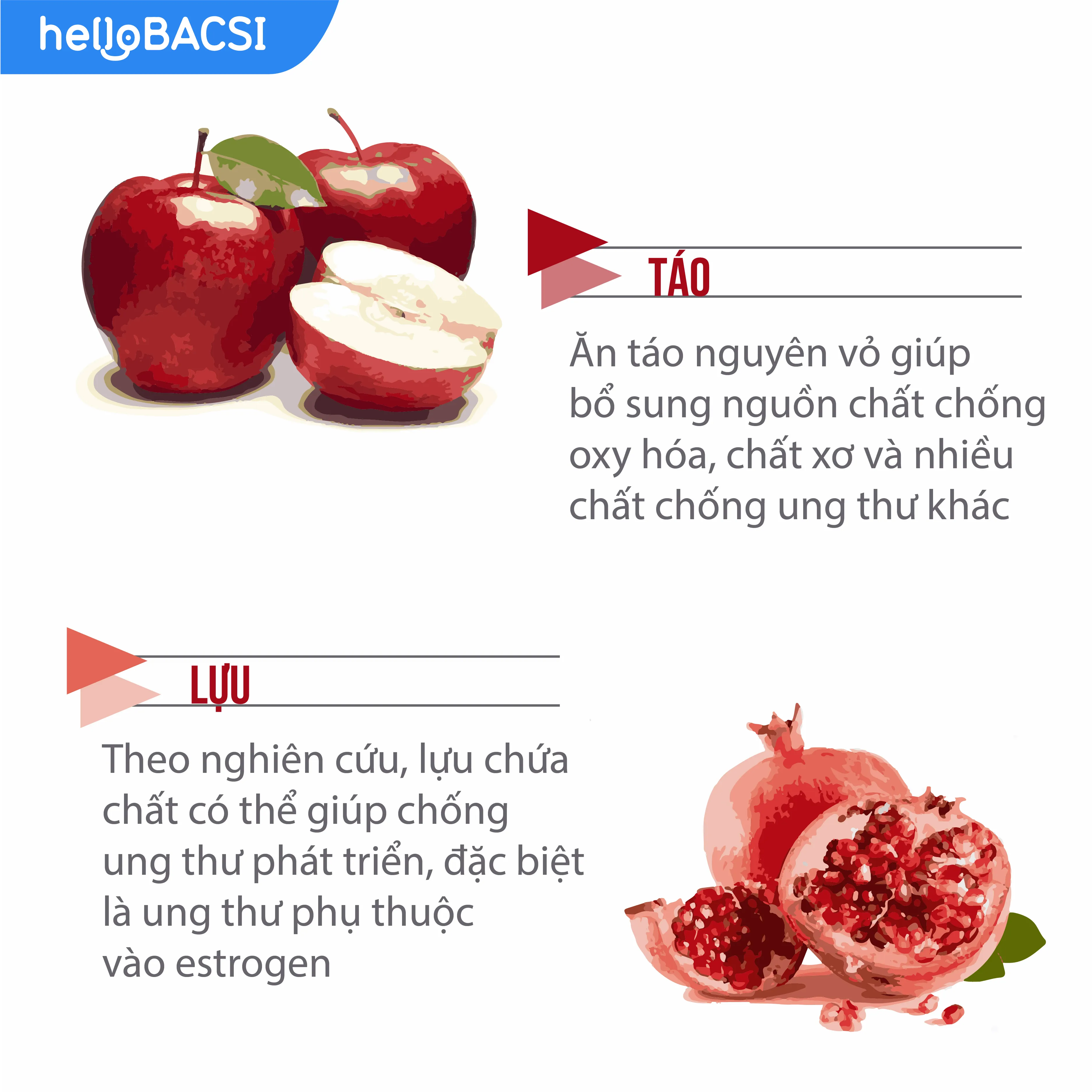 Vai trò của dinh dưỡng trong phòng ngừa ung thư vú_3