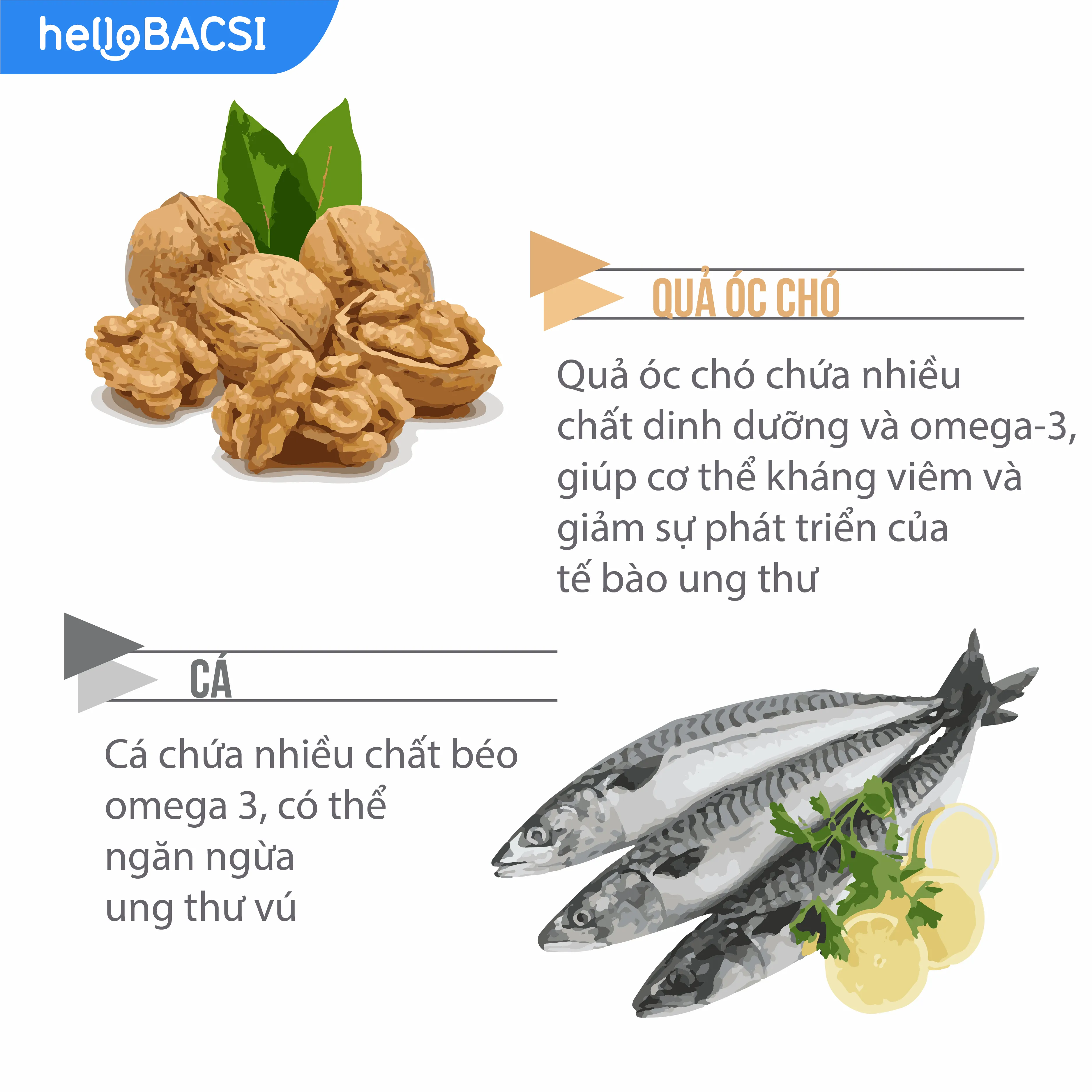 Vai trò của dinh dưỡng trong phòng ngừa ung thư vú_3