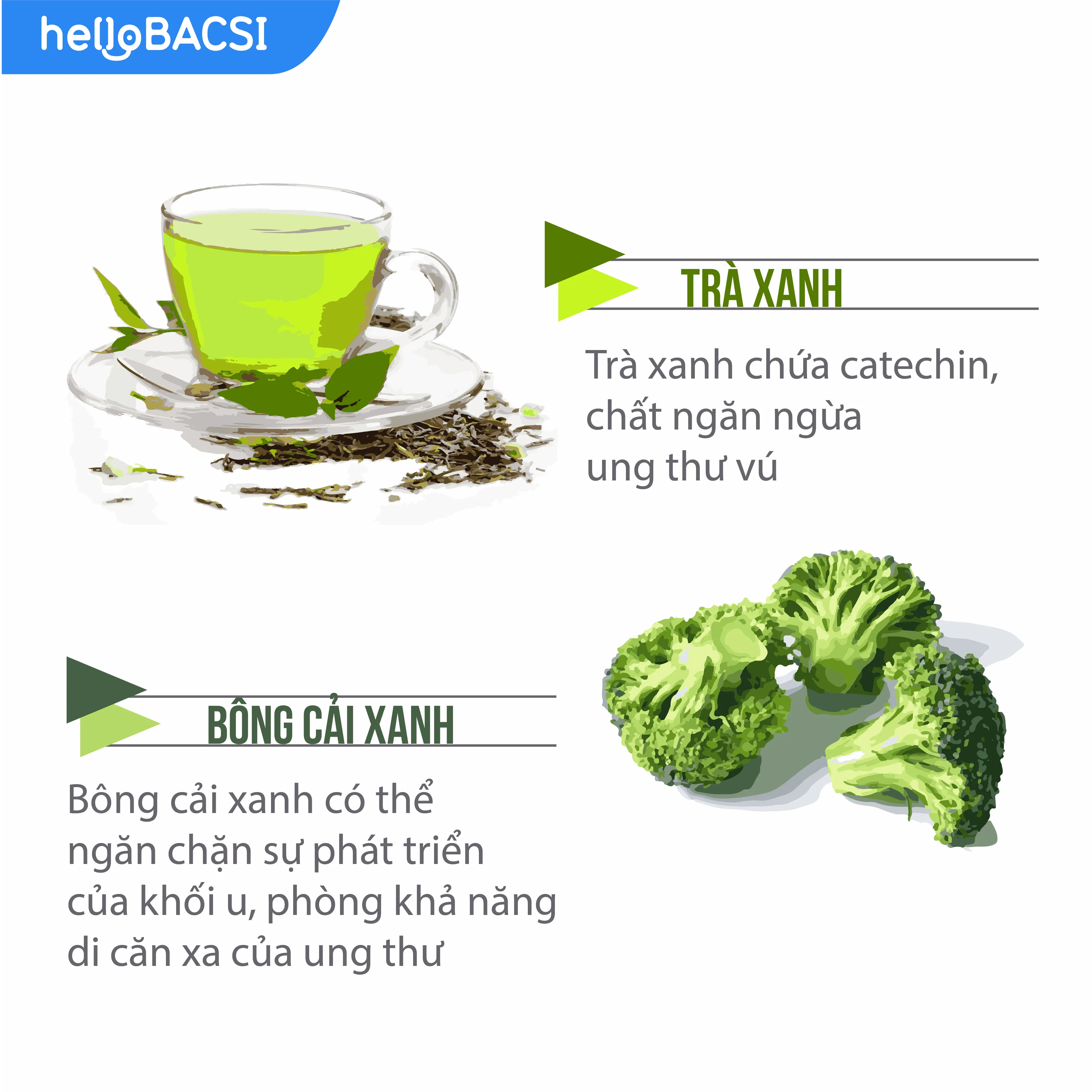 Vai trò của dinh dưỡng trong phòng ngừa ung thư vú_2