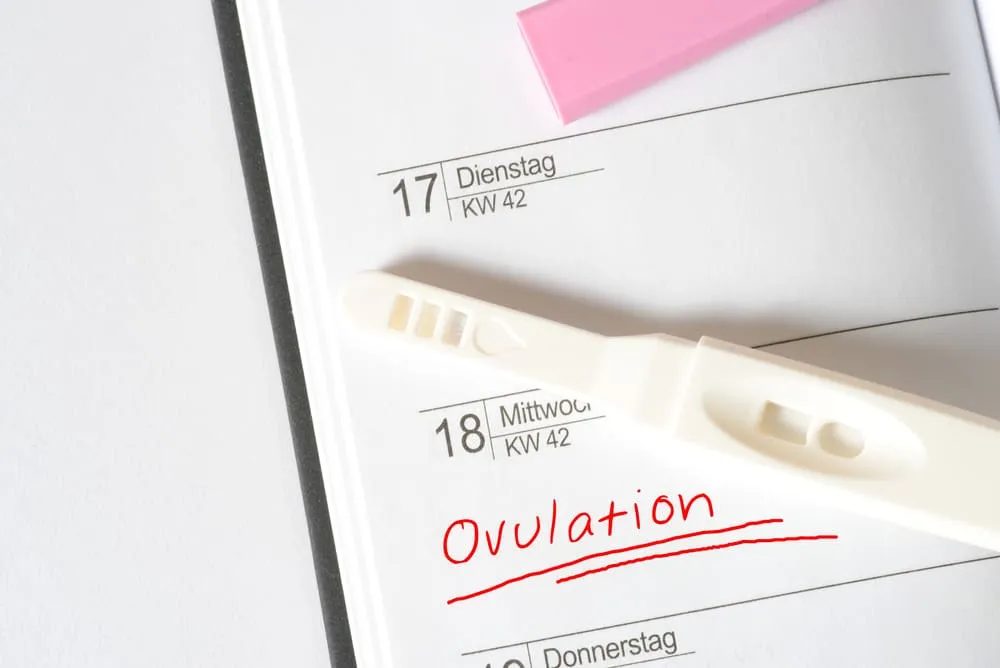 Sử dụng que thử