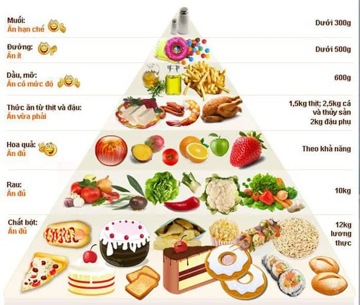 Cách tăng cân thiết thực dựa vào chế độ ăn theo tháp dinh dưỡng cho người gầy