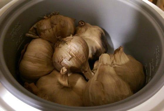 cách làm tỏi đen - bước 4