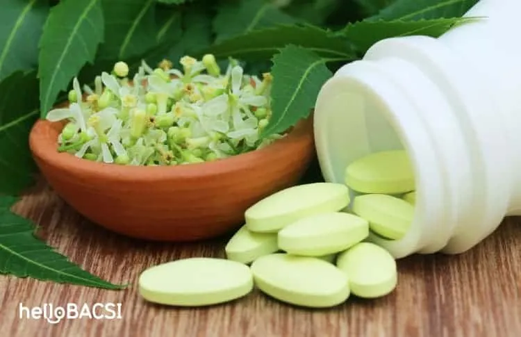 thuốc viên từ cây sầu đâu