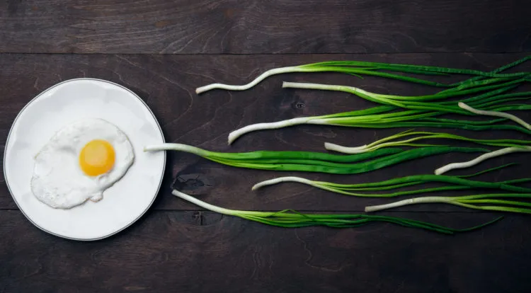 Vì sao bạn cần đến 250 triệu tinh trùng khi xuất tinh?