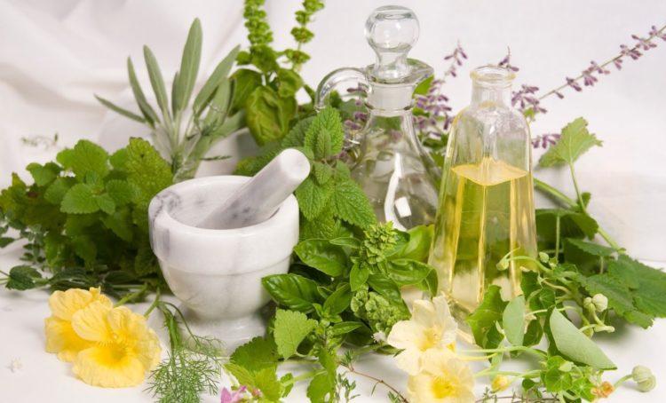 Thuốc tăng cân thảo dược