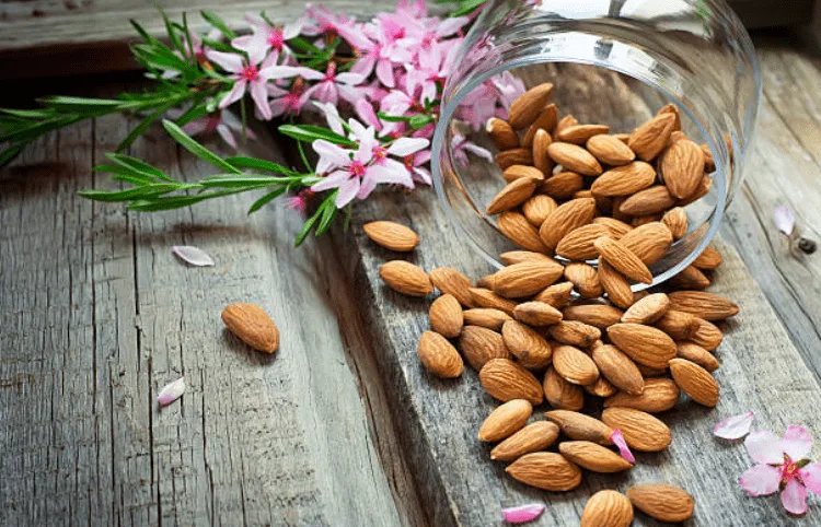 cách có 6 múi: ăn nhiều hạnh nhân