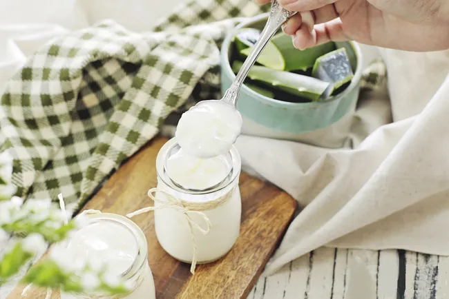 Cách làm sữa chua nha đam