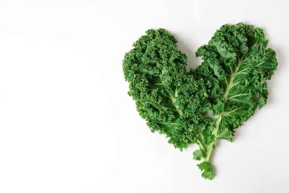 công dụng cải xoăn cho tim mạch