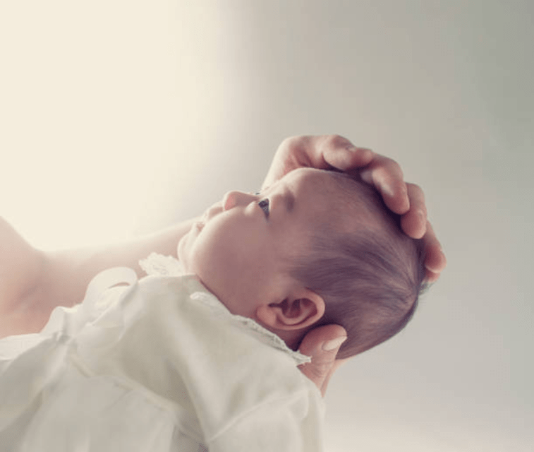 vai trò của dây rốn