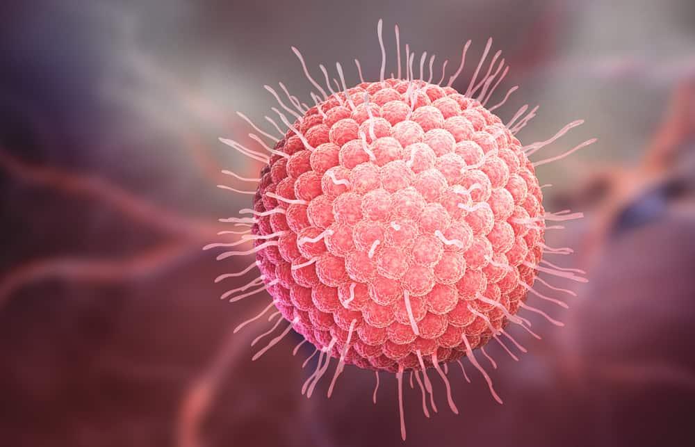 virus thủy đậu ảnh hưởng đến hạch bạch huyết