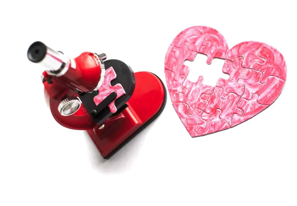 lỗ thông bầu dục là gì?