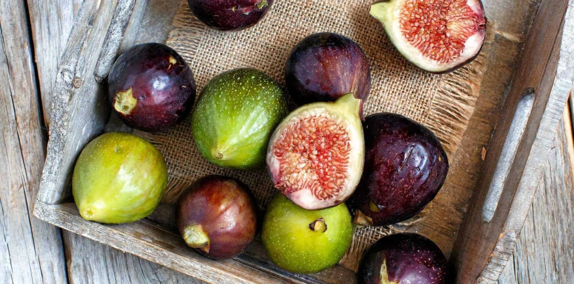 Công dụng của quả sung