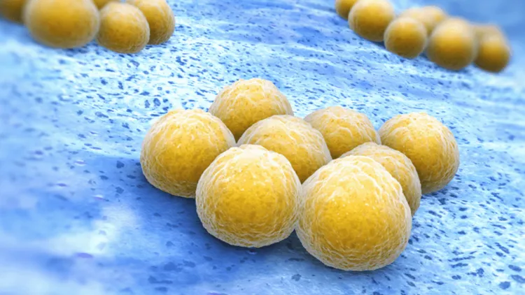 nhiễm khuẩn da do mrsa