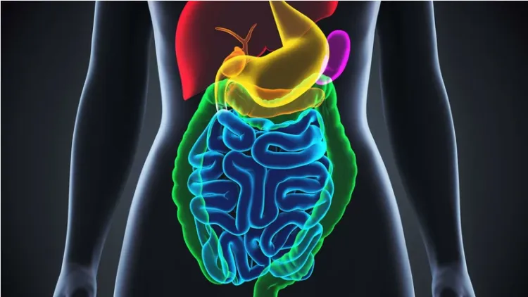 Liệt dạ dày có thể là nguyên nhân gây buồn nôn (mắc ói).