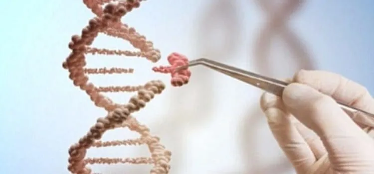 Liệu pháp gen điều trị tận gốc bệnh máu loãng