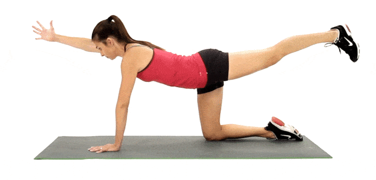 bài tập cho người bị thoát vị đĩa đệm