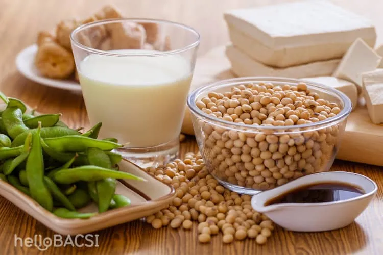 đậu nành cho người sau điều trị ung thư