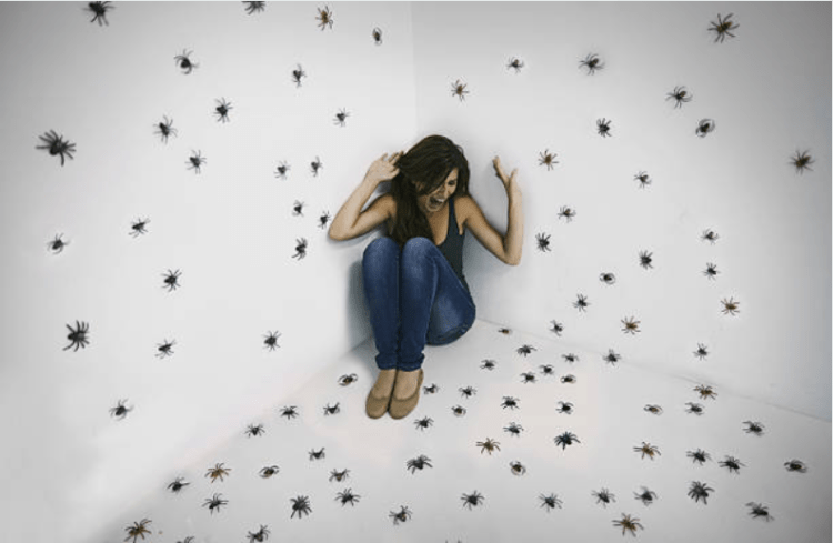 nguyên nhân gây chứng sợ nhện