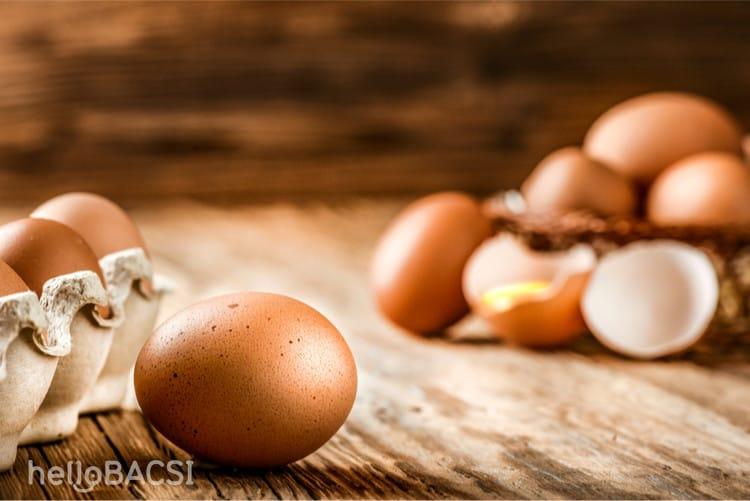 trứng cho người sau điều trị ung thư